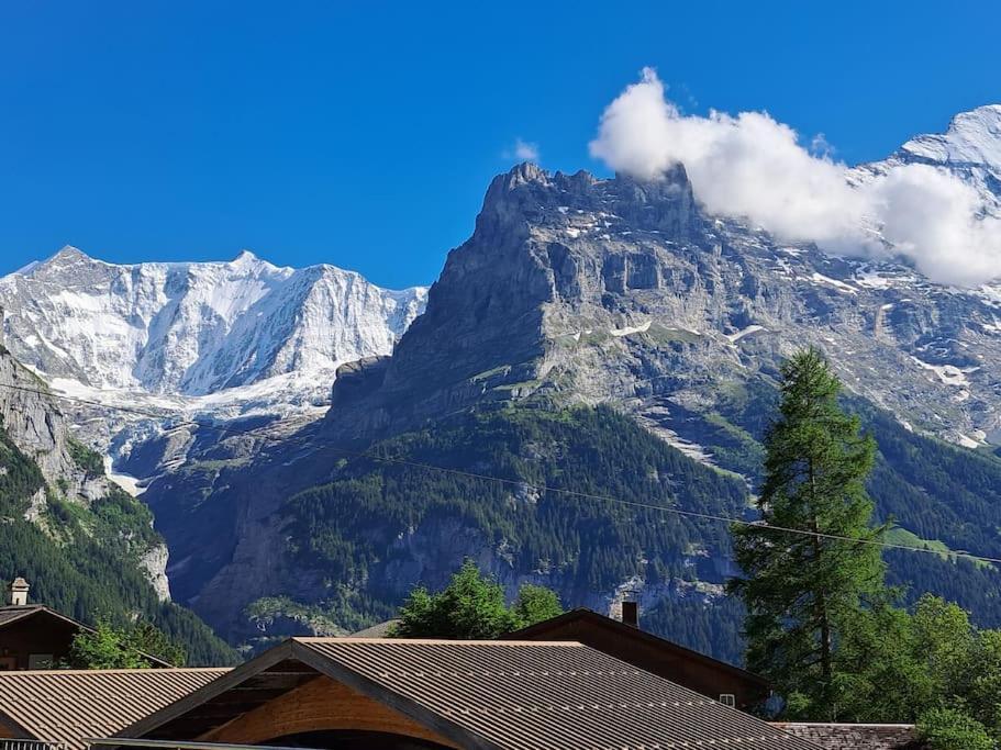 Chalet Engi Apt 1 For Up To 8 People Grindelwald Exterior photo