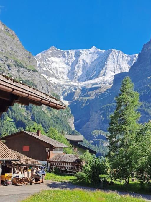 Chalet Engi Apt 1 For Up To 8 People Grindelwald Exterior photo