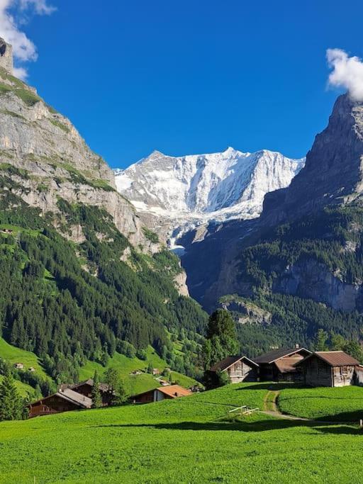 Chalet Engi Apt 1 For Up To 8 People Grindelwald Exterior photo